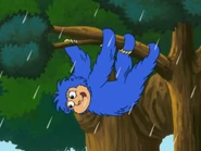 It's the Sleepy Sloth!