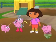 Oink!