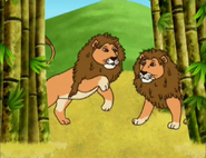 Lions,