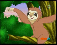 Mommy sloth
