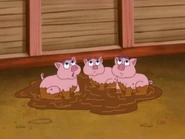 The three little piggies saw something falling towards them.