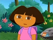 If you see Swiper the Fox, yell "Swiper!"