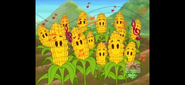 Wow! Look at all that corn!