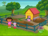 Do YOU see the piggies? (Here they come!)