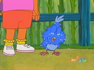 Baby Blue Bird starts crying again!