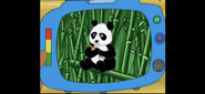 "This one is a panda bear. It lives in bamboo forests." (Maybe we'll get to learn about one later in the series.)