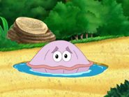 help the clam