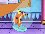 Ready? (Go Swiper! Rhythm and power. Ritmo y poder. Keep those heels up!)