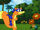 CADDB8F4-74FC-4DF7-88A8-28C3C82FC6AF.jpeg