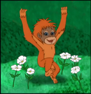 An orangutan skipping across the daisies