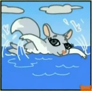 Chinta The Baby Chinchilla Wrong Answer 4