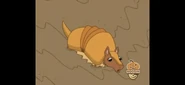 Oh, no! The muddy slide stopped and Armadillo got stuck!