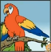 A scarlet macaw with rainbow-colored wings