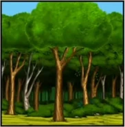 Koala Right Answer 3