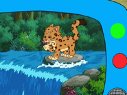 Look! That baby jaguar is stuck by the edge of the waterfall!