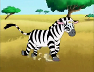 A zebra, running in the sun! How many zebras are there? One!