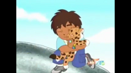 Diego praising Baby Jaguar for climbing up Jaguar Mountain