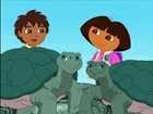 Diego and Dora Save the Giant Tortoises | Dora the Explorer Wiki | Fandom