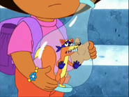 Swiper can feel the pain. "But, BUT!"