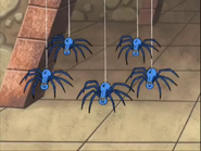 We're the wiggling, wiggling spiders!