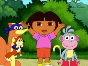 Swiper the Explorer Dora the Explorer Wiki Fandom