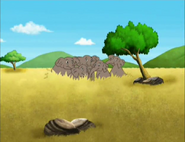 What animals are those?