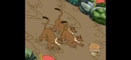 The pumas,