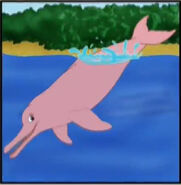 A pink river dolphin