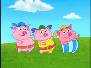 Pirate Pigs sometimes do wrong,