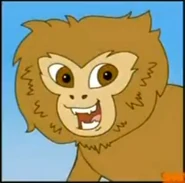 Pygmy Marmoset with Sharp Teeth