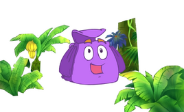 Backpack in the jungle