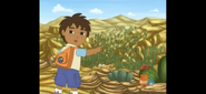 Look, Roady is running right into that giant cactus field!