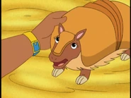 "But I don't have a team!"
