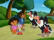 Diego asks them for help by squawking to them.