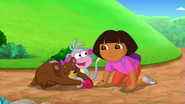 Dora and the Very Sleepy Bear 🐻💤 Full Episode Dora the Explorer 2-19 screenshot