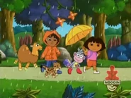 HUH?! A camel in the rainforest?! THAT's not in the book!