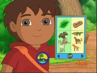 Diego's animal chart