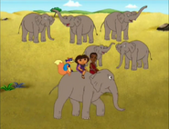 (elephants trumpeting) Bye-bye, elephants!