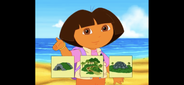 From Diego and Dora Save the Giant Tortoises.