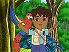 The Mommy Macaw | Dora the Explorer Wiki | Fandom