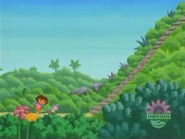 Look! The stairs!