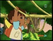 Everybody! Swing, swing, swing like a monkey