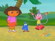 "The Map, the Map!"