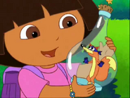 "Yes, Swiper?"