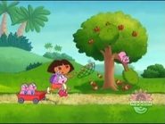 RUN, DORA, RUN!!! ( ¡¡¡CORRE, DORA, CORRE!!!)