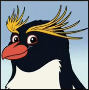 An adult macaroni penguin with yellow feathers