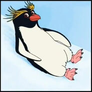 Do macaroni penguins slide on their backs?