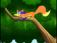 Swiper in the tree.