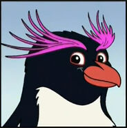 A macaroni penguin with purple feathers