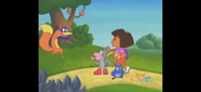 Swiper,